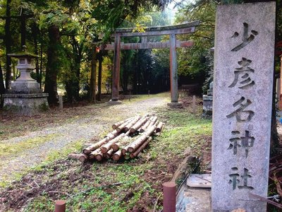 ⛩️ 스쿠나히코나 신사 이미지 2